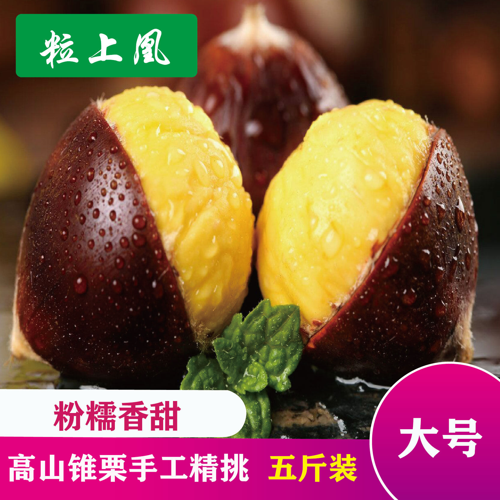 椎栗,椎栗子_大山谷图库