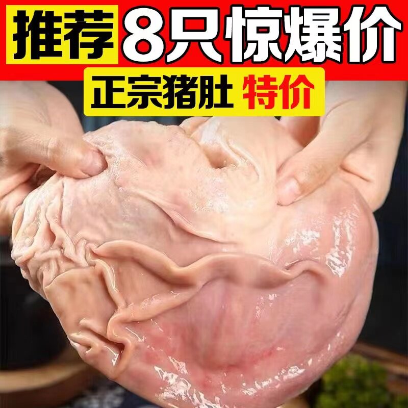 【新鲜活杀】猪肚新鲜现杀整个猪肚散养土猪猪肚猪胃养胃营养滋补
