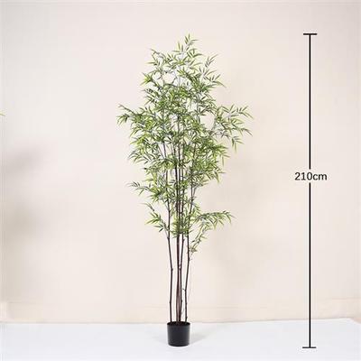 细水毛竹假竹子室内庭院装饰假绿植盆景盆栽造景植物仿真竹子盆栽