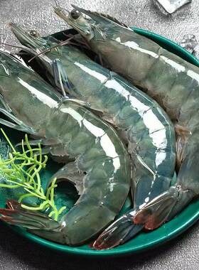 活虾速冻大虾王30-40规格净重3.3-3.6斤/盒55-65只对虾整箱发顺丰