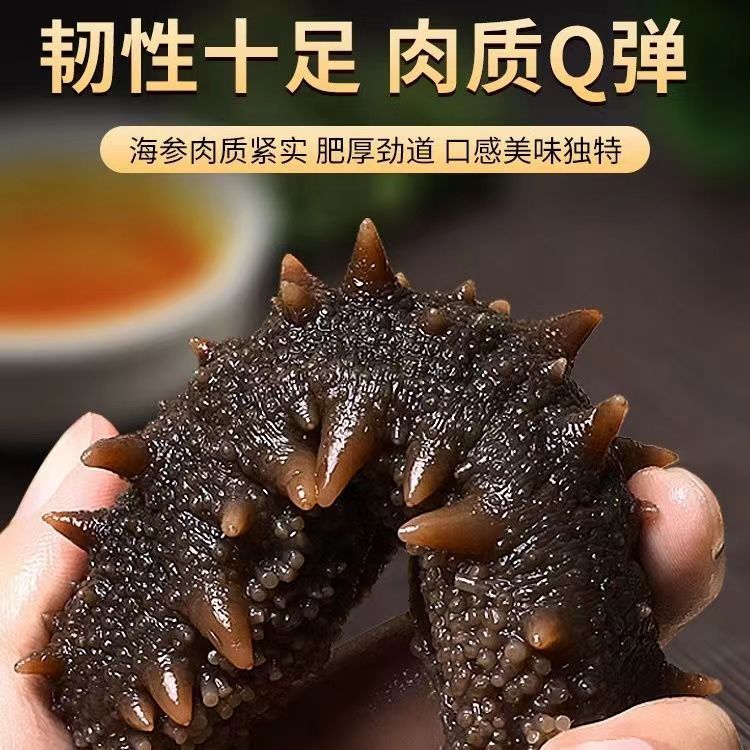 海参即食大连新鲜即食刺参野生独立包装辽参长岛海参5-6头参