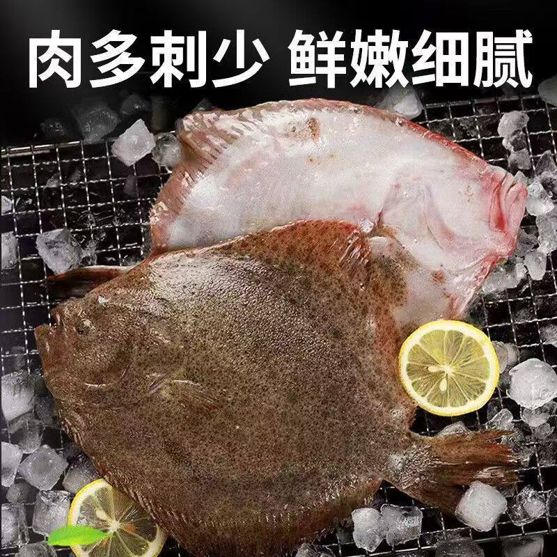 鲜活多宝鱼比目鱼活偏口鱼新鲜蝶鱼海鱼冰鲜活鱼海鲜1-1.3斤/1条