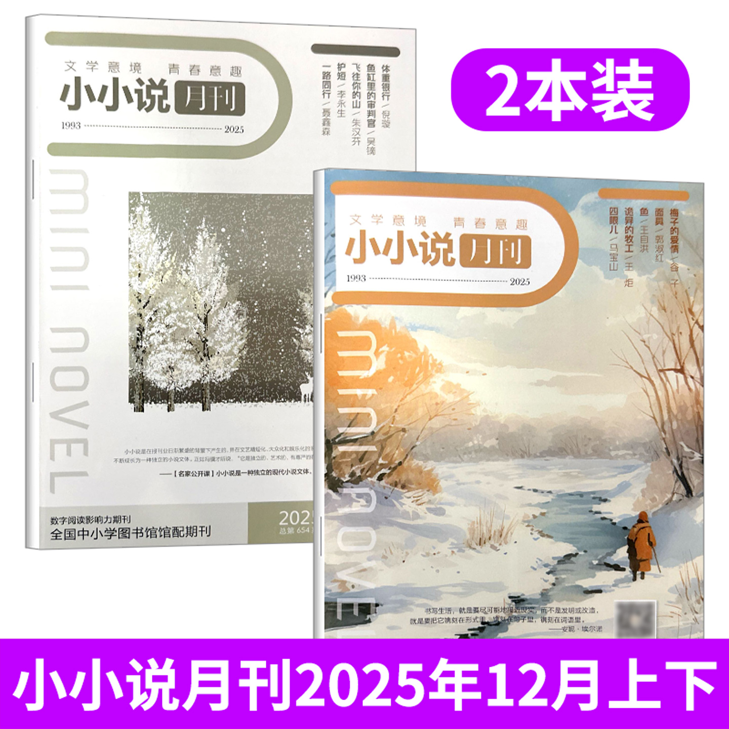 小小说月刊杂志文学版2025年12/11/10/9/8/7/6/5/4/3/2/1月上下 2024年文学意境青春意趣 文学文摘写作文 小说故事期刊