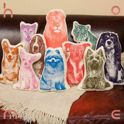 Areaware彩色有机棉动沙发靠枕