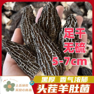 2025头茬羊肚菌干货精选5 7公分大个肉厚色深干度好送长辈佳品