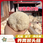 养胃调理猴头菇干货可免费打粉500g头茬营养菌菇新货肉白鲜嫩
