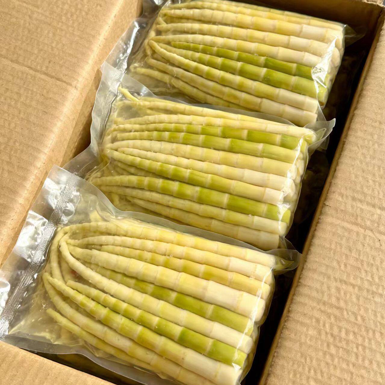 正宗小竹笋手撕竹笋新鲜笋尖新笋手撕笋袋装火锅便宜一整箱10g