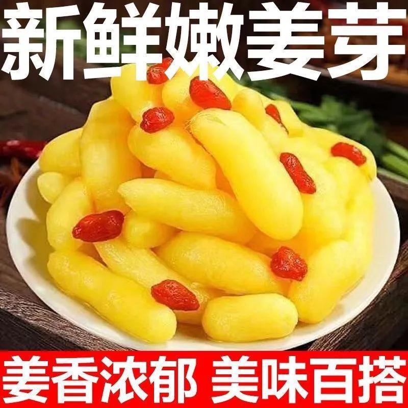 枸杞泡姜芽新鲜腌制正宗山东特产下饭菜500g袋装枸杞姜芽
