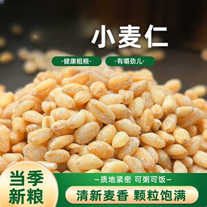河南脱皮小麦仁当季新粮去皮麦仁米脱壳麦粒煮粥焖饭煮饭五谷杂粮