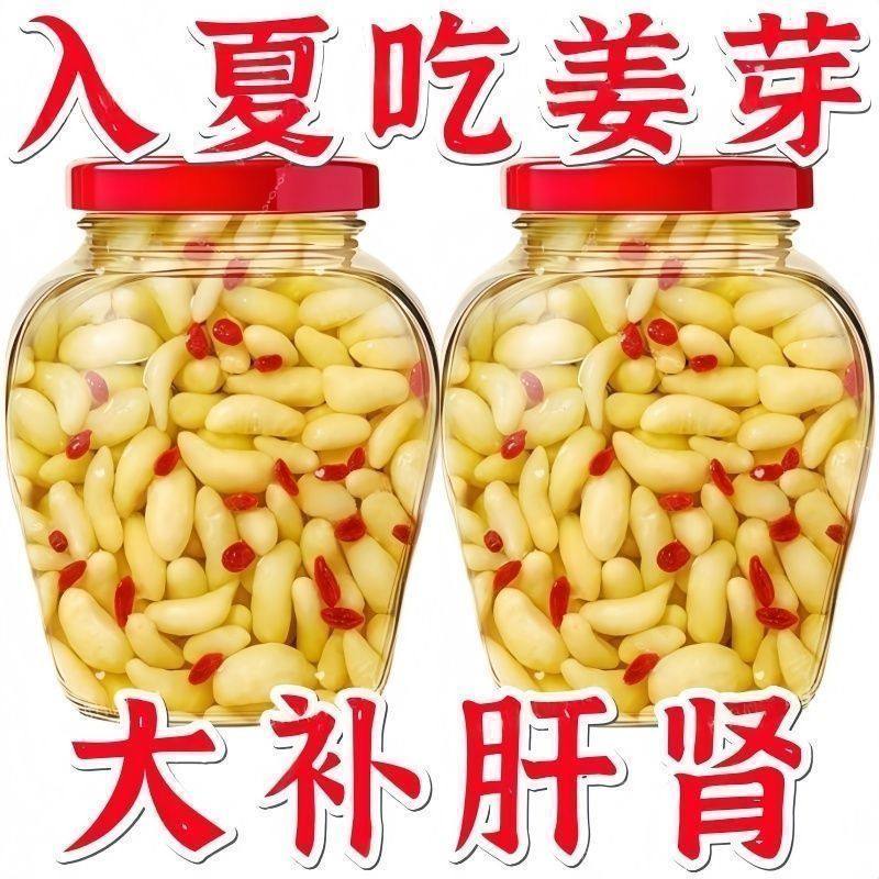 头茬热卖】新鲜枸杞泡嫩姜芽仔姜糖醋嫩姜芽生姜鲜嫩仔姜枸杞泡嫩