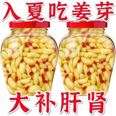 头茬热卖】新鲜枸杞泡嫩姜芽仔姜糖醋嫩姜芽生姜鲜嫩仔姜枸杞泡嫩
