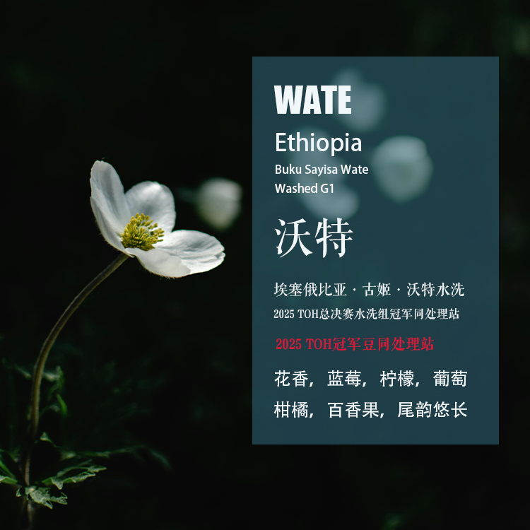 埃塞古姬沃特水洗处理手冲咖啡豆