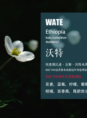 埃塞俄比亚古姬沃特Wate水洗处理咖啡豆手冲单品咖啡新鲜下单烘焙