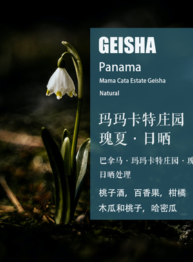 巴拿马 玛玛卡特Mama Cata庄园瑰夏Geisha日晒处理咖啡豆手冲单品