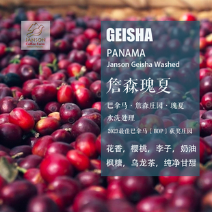 巴拿马詹森庄园Janson 瑰夏Geisha 水洗处理咖啡豆 手冲单品 袋装