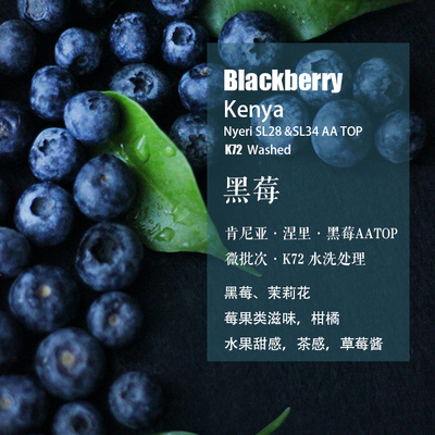 肯尼亚涅里Nyeri黑莓AATOP咖啡豆