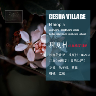 埃塞俄比亚瑰夏村Banji Gori红标瑰夏日晒处理咖啡豆手冲单品咖啡