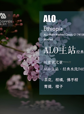 埃塞俄比亚ALO主站74158水洗处理咖啡豆手冲单品咖啡新鲜下单烘焙