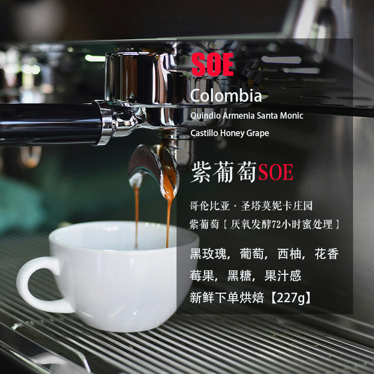 SOE意式咖啡豆哥伦比亚 圣塔莫妮卡庄园 紫葡萄咖啡 单一产区现烘
