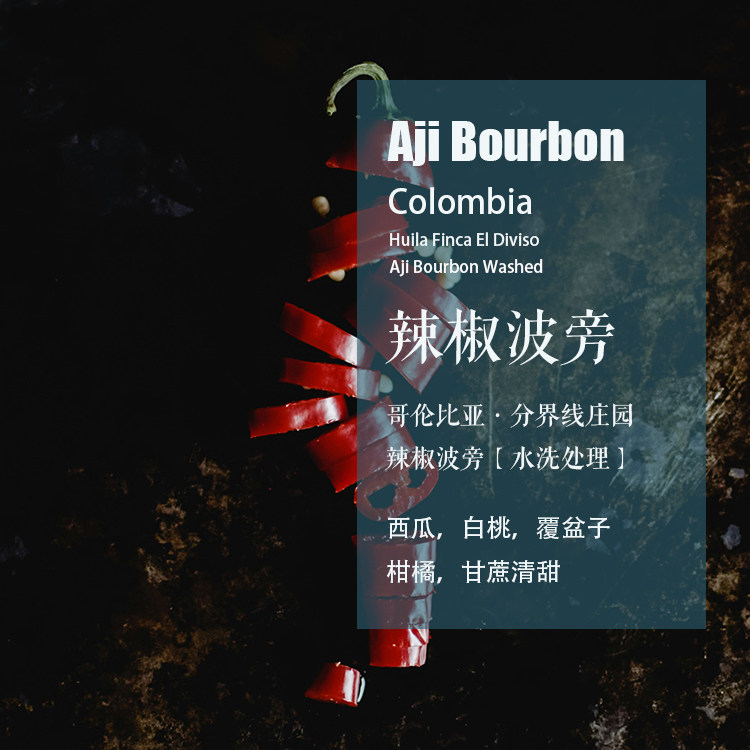 哥伦比亚分界线庄园辣椒波旁Aji Bourbon水洗处理咖啡豆手冲单品