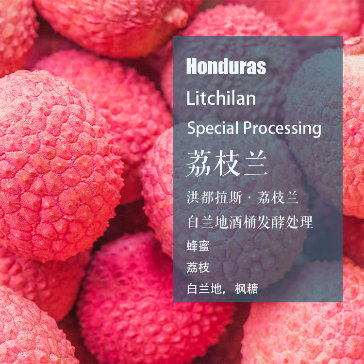 洪都拉斯荔枝兰Litchilan白兰地酒桶发酵处理手冲单品咖啡豆 现烘,咖啡/麦片/冲饮,咖啡豆,淘宝优惠券,粉丝福利购,淘宝优惠卷