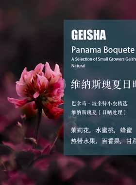 巴拿马波奎特小农精选维纳斯瑰夏Geisha日晒处理咖啡豆手冲单品豆