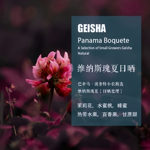 巴拿马波奎特小农精选维纳斯瑰夏Geisha日晒处理咖啡豆手冲单品豆