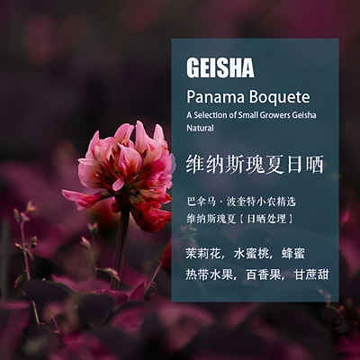 巴拿马维纳斯瑰夏手冲单品咖啡豆