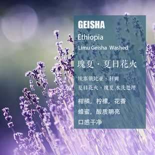 埃塞俄比亚利姆夏曰花火瑰夏Geisha水洗处理咖啡豆 手冲单品咖啡