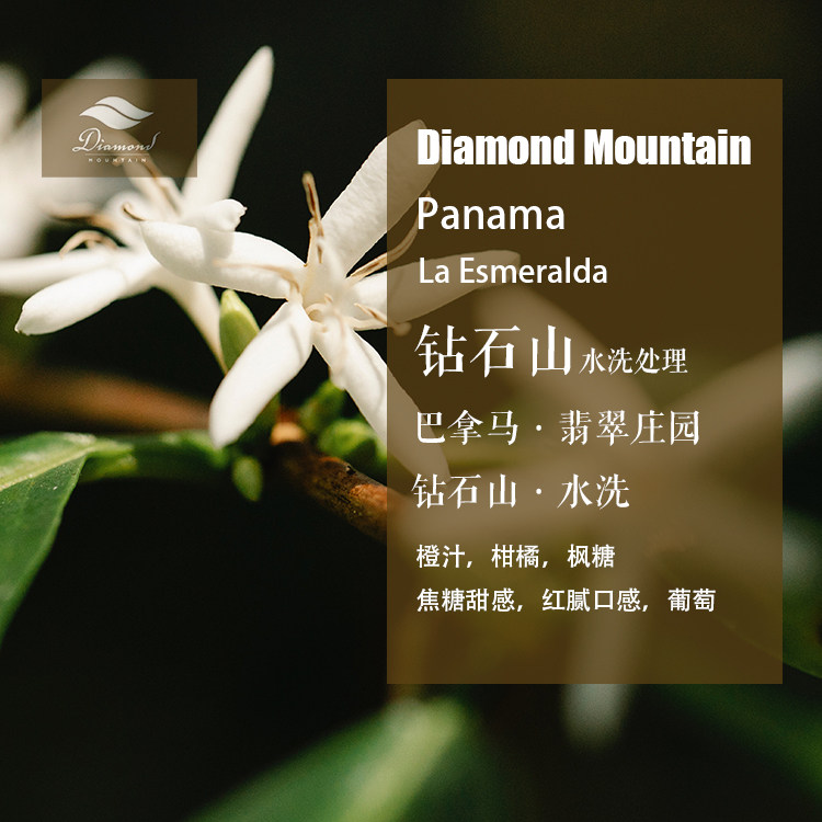 巴拿马翡翠庄园钻石山水洗咖啡豆