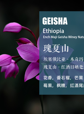 埃塞俄比亚本奇玛吉瑰夏山Geisha红酒日晒处理咖啡豆手冲单品咖啡