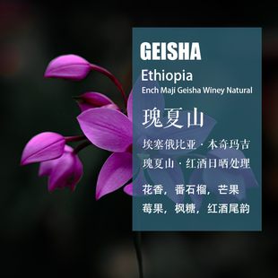 埃塞俄比亚本奇玛吉瑰夏山Geisha红酒日晒处理咖啡豆手冲单品咖啡