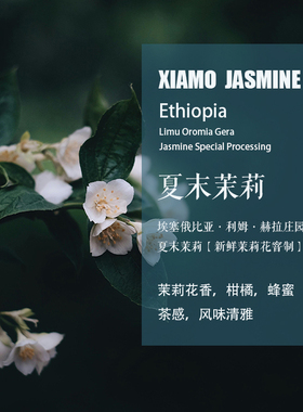 埃塞俄比亚利姆夏末茉莉Jasmine咖啡豆新鲜茉莉花窨制水洗手冲豆