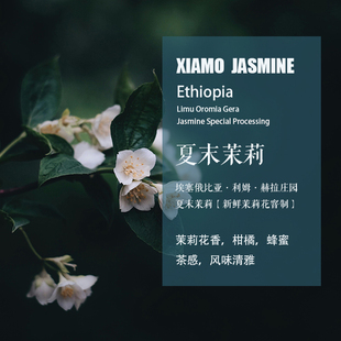 埃塞俄比亚利姆夏末茉莉Jasmine咖啡豆新鲜茉莉花窨制水洗手冲豆