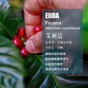 巴拿马艾丽达庄园卡杜艾日晒处理手冲单品咖啡豆新鲜烘焙轻度袋装