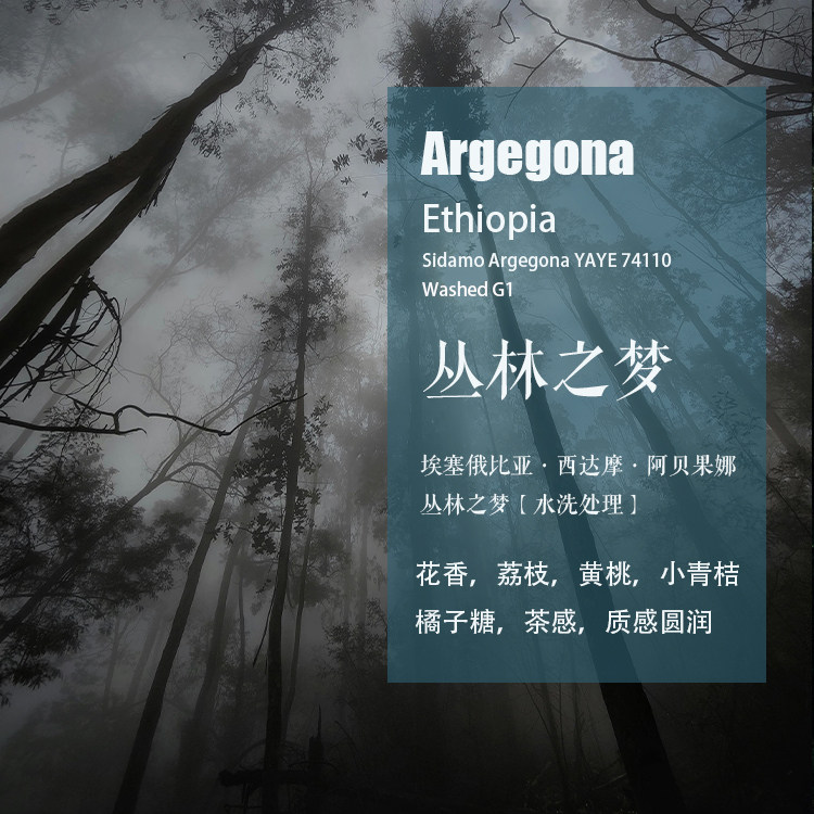 埃塞YAYE丛林之梦手冲单品咖啡豆