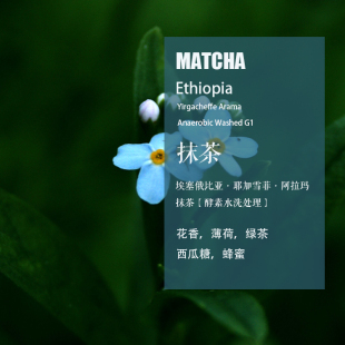 埃塞俄比亚耶加雪菲阿拉玛抹茶Matcha酵素水洗处理咖啡豆手冲单品