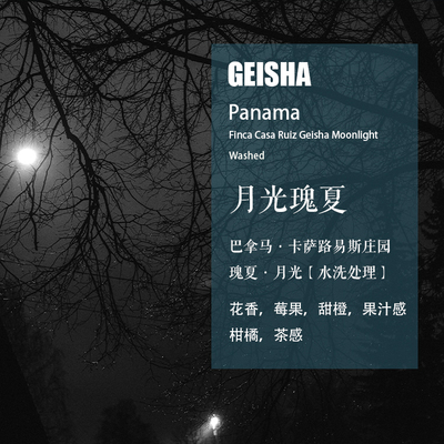 巴拿马月光瑰夏水洗手冲咖啡豆