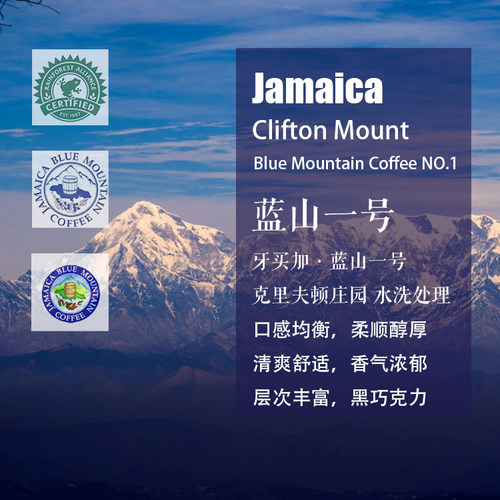 牙买加蓝山一号克里夫顿庄园咖啡