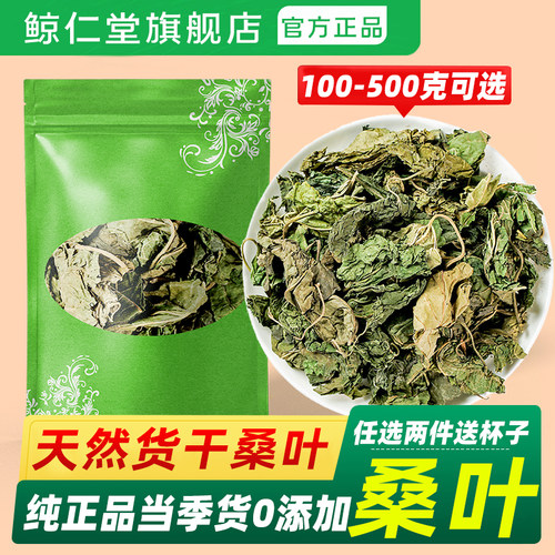 鲸仁堂安徽霜后干桑叶野生中药材