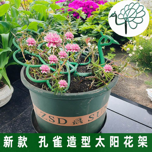 太阳花造型孔雀支架子支撑固定架