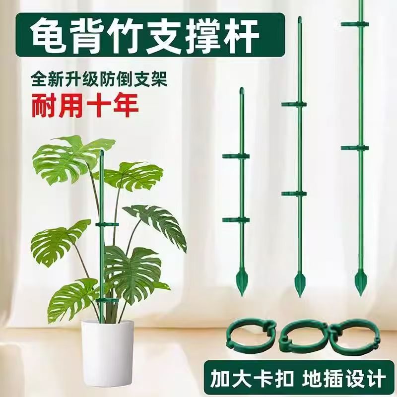 园艺支撑杆防倒固定蝴蝶兰
