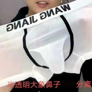 网将新款网纱冰丝薄男士内裤分仓分离一室一厅大象鼻子舒适短裤头