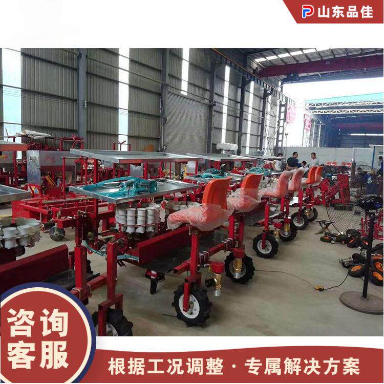 农用蔬菜三瓜果苗移栽机点悬挂钵式栽机大VJW棚体秧苗移种栽插苗