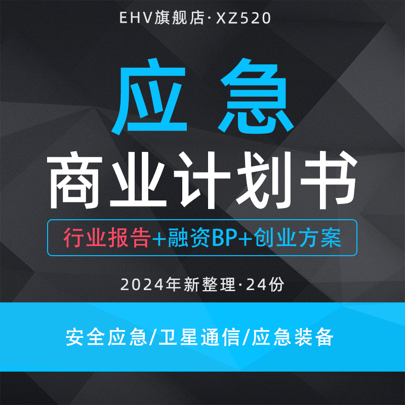 2024应急项目商业计划书