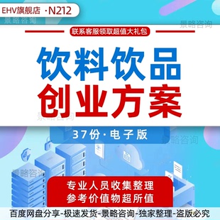饮料饮品果汁消费食品趋势洞察行业研究报告生产销售公司品牌可研创业融资方案年度市场商业计划BP