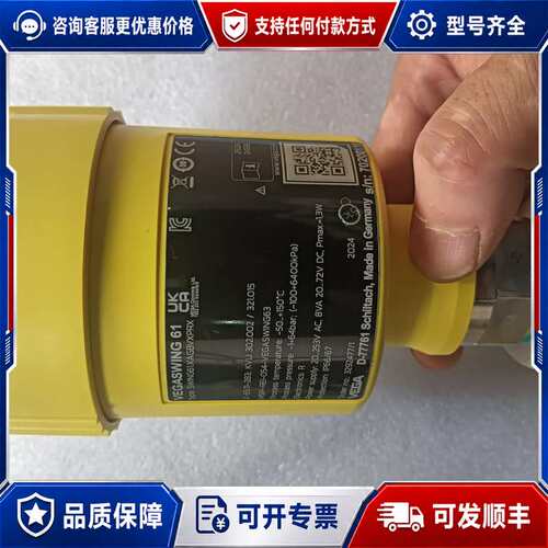 议价德国VEGA威格VEGASWING 61，型号SWING61可维修