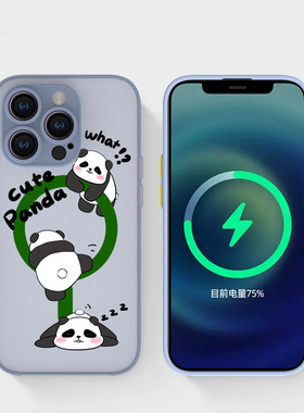 奔斯特13mini肤感磁吸14magsafe手机壳适用iphone网红创意磨砂se2灰色15plus苹果11pro个性可爱12max国宝熊猫