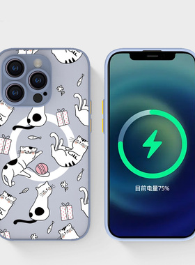 奔斯特16pro肤感磁吸14magsafe手机壳适用iphone网红创意磨砂se2灰色15plus苹果11卡通12max可爱小猫咪13mini