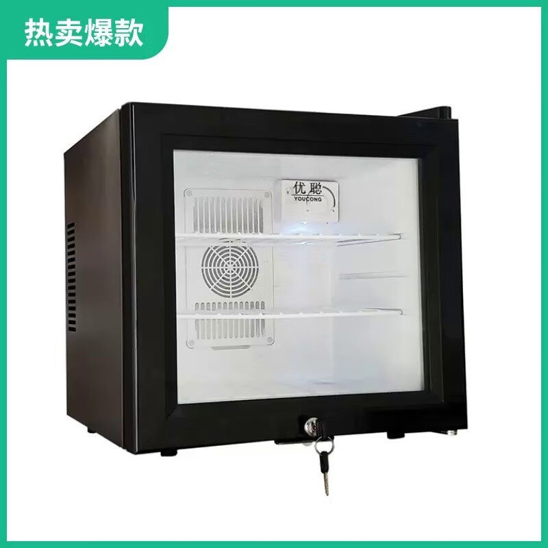 学校幼儿园食品留样柜展示柜保鲜冷藏箱酒店客房冰箱带单双锁20L